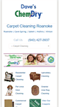 Mobile Screenshot of carpet-cleaning-roanoke.com